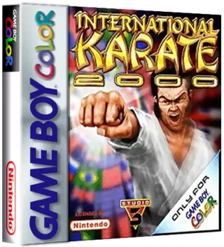rom International Karate 2000